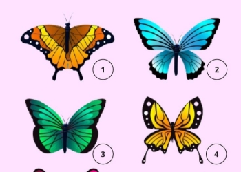 Escolha uma borboleta para descobrir seus pontos fortes e fracos 10