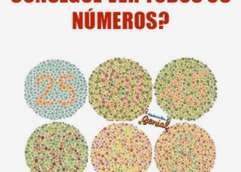 Teste daltônico - Consegue ver todos os números? 3