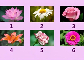 Escolha uma flor e descubra o que sua voz interior está dizendo 12
